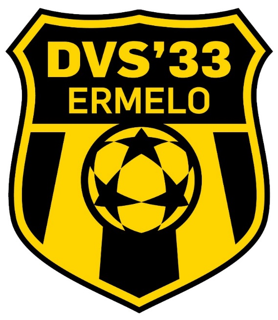 Logo of DVS'33 Ermelo