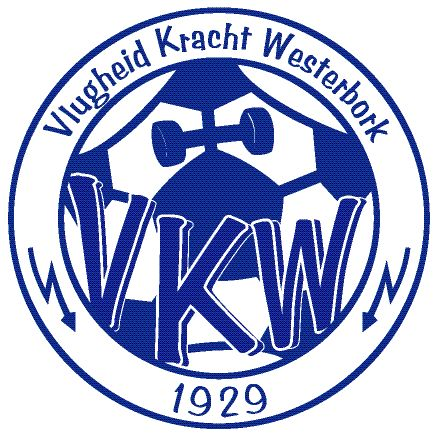 VKW VR2