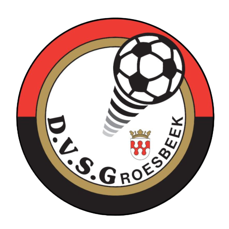 DVSG 2 logo
