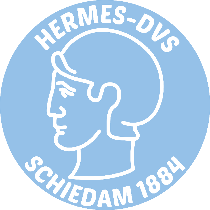 Hermes DVS 4