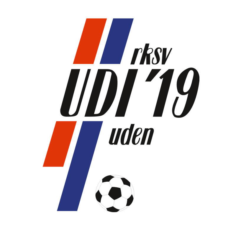 Logo of UDI'19/Swiss Sense
