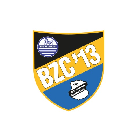 BZC'13 2