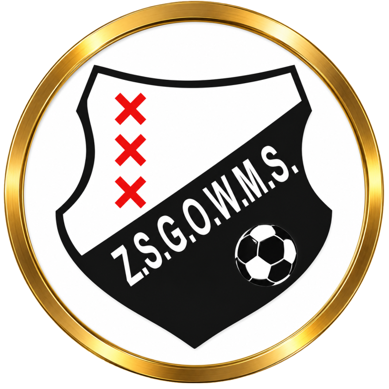 ZSGOWMS VR35+1