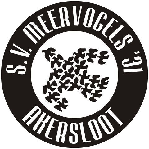 Meervogels 31 3