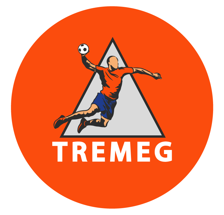 Team logo